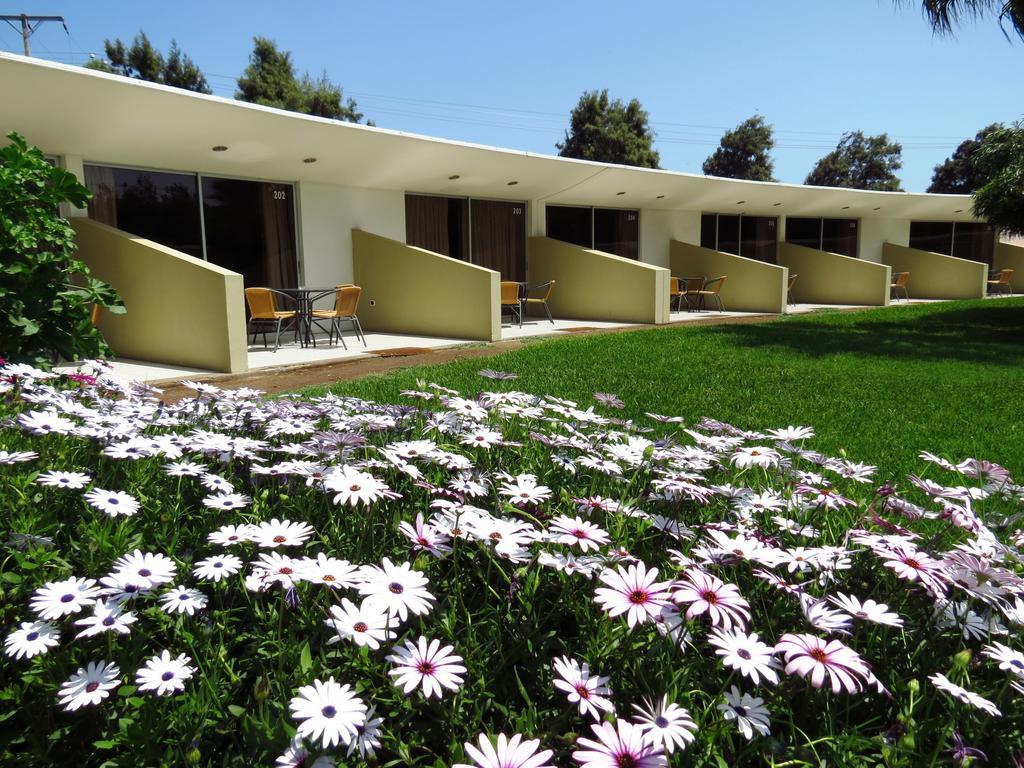 El Paso Park Hotel Arica Exterior photo