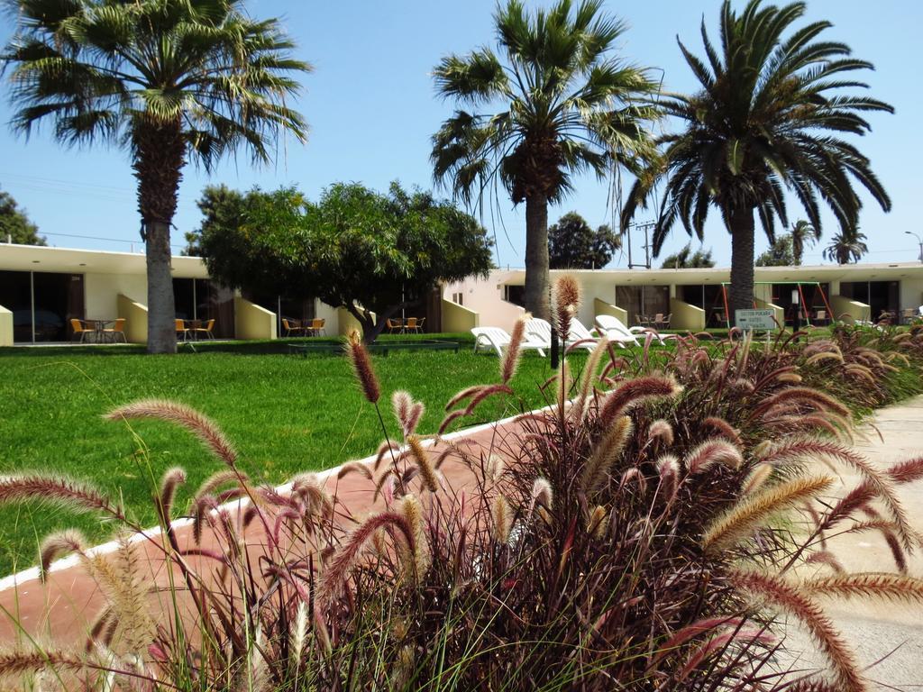 El Paso Park Hotel Arica Exterior photo